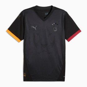 Nogometni Dresovi Galatasaray SK Četvrta 2024-25 Kratkih Rukava